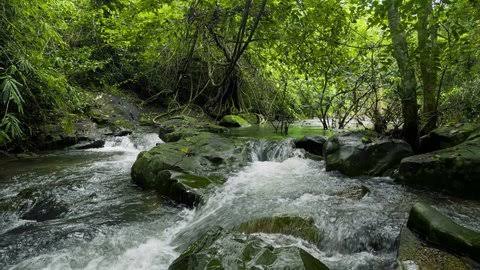 images (20)