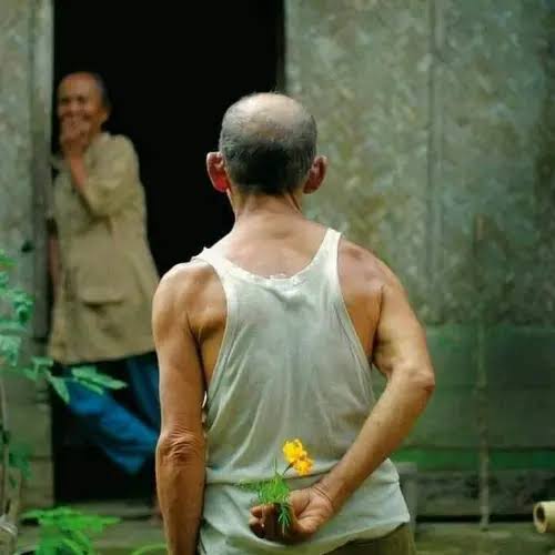 images (16)